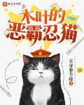 木葉的惡霸忍貓