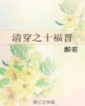 清穿之十福晉