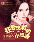 狂傲總裁的小頑妻