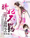 殿下追緝令：驕妃不羈