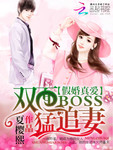 假婚真愛：雙麵boss猛追妻