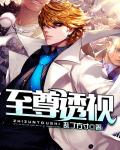 至尊透視