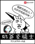 奶爸聖騎士